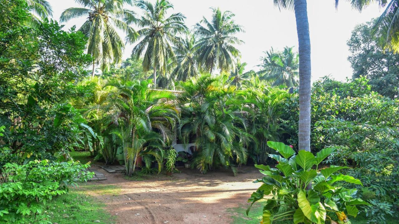 Sayare Inn Dambulla Exterior foto